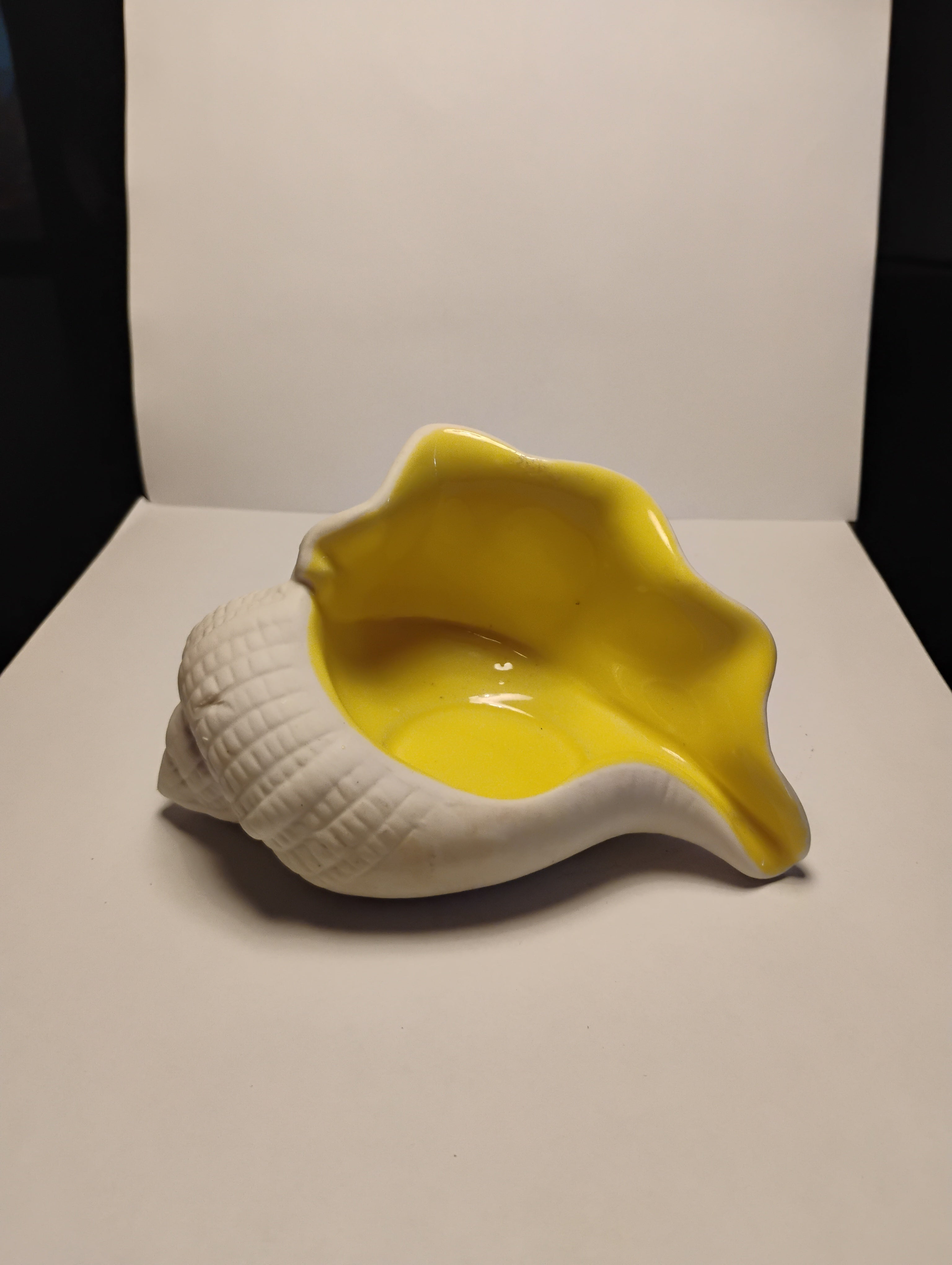 Decorative Shell
